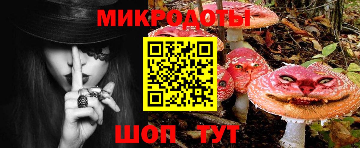 Галлюциногенные грибы Psilocybine cubensis  Вход с VPN  Дзержинский 